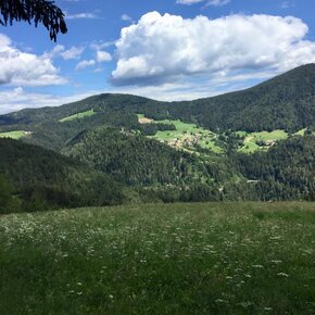 Rundwanderung von Lanza di Rumo durch den Fresn Joch | © APT Val di Non 