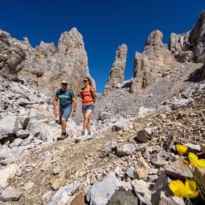 Sotto la Torre di Pisa | © APT Val di Fiemme