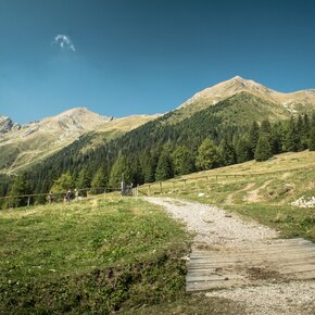 Cima Belmonte e Cima Vedetta Alta | © APT Val di Non 