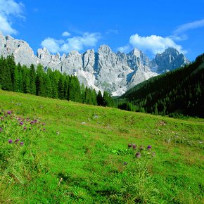 Val Venegia - Ai piedi delle Dolomiti (Pale di San Martino) | © Trentino Marketing