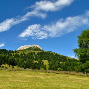 Passo Oclini - Zwischen Weiß-und Schwarzhorn | © APT Val di Fiemme