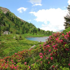 Colbricon See und Hütte | © APT Val di Fiemme