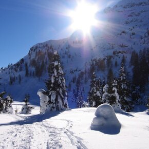 Direction Colbricon Lake | © APT Val di Fiemme