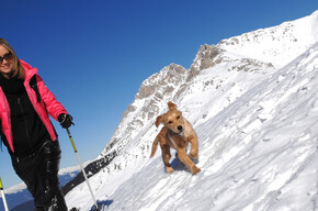 Dos dei Branchi | © APT Val di Fiemme