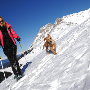 Dos dei Branchi | © APT Val di Fiemme