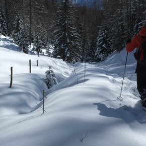 Direction Cazzorga | © APT Val di Fiemme