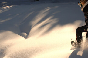 Snowshoeing | © APT Val di Fiemme