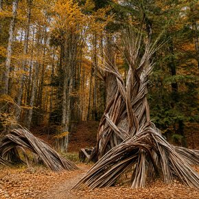 The Breath of the Trees - Lavarone | © Azienda per il Turismo Alpe Cimbra