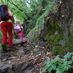 Sentiero Pian di Mela | © APT Valsugana e Lagorai