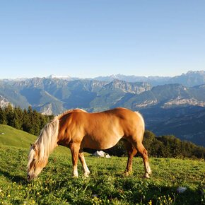 Val del Parol | © APT Rovereto Vallagarina Monte Baldo