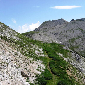 SALITA AL MONTE CAREGA - VISITROVERETO | © APT Rovereto Vallagarina Monte Baldo