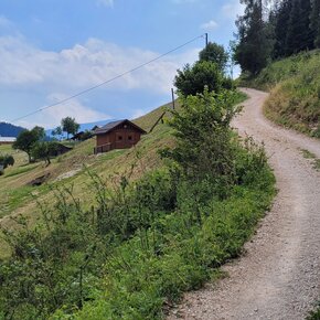 Landschaft der Ortslage Ai Magri im letzten Abschnitt des Wegs | © APT Valsugana e Lagorai