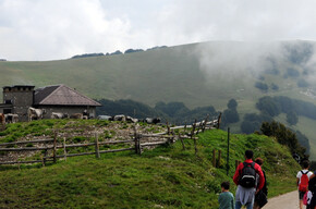 Walk among the pastures of Malga Susine | © APT Rovereto Vallagarina Monte Baldo