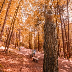 Giro del Tomazol | © Azienda per il Turismo Alpe Cimbra