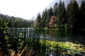 Lago di Cei - Visitrovereto | © APT Rovereto Vallagarina Monte Baldo