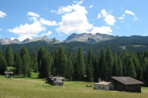 Bellamonte - Huts | © APT Val di Fiemme