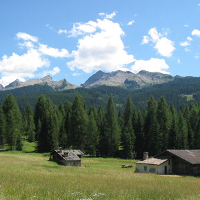 Bellamonte - Huts | © APT Val di Fiemme