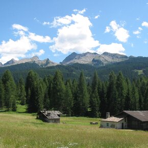 Bellamonte - Hütten | © APT Val di Fiemme