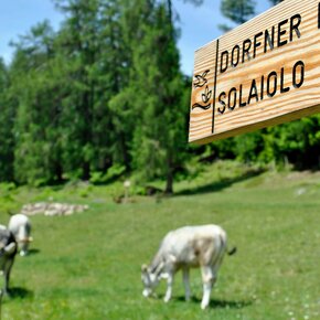 Wegweiser | © APT Fiemme Cembra