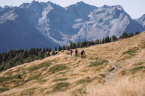 Tour Malga Campo N.707 | © APT Valli di Sole, Peio e Rabbi