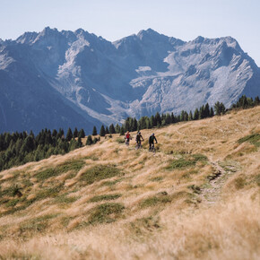 Tour Malga Campo N.707 | © APT Valli di Sole, Peio e Rabbi