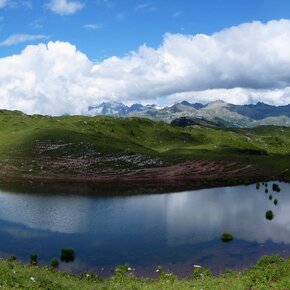Madonna di Campiglio – Malga Boch – Graffer Refuge. | © APT Madonna di Campiglio, Pinzolo, Val Rendena