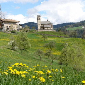 Chiesa di S. Udalrico - Corte Inferiore, Rumo | © APT Val di Non 