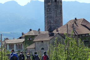 Jacopeo d'Anaunia Path – V stage | © Associazioni Anaune Amici del Cammino di Santiago