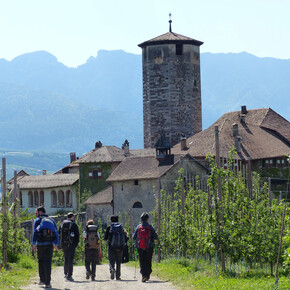 Jacopeo d'Anaunia Path – V stage | © Associazioni Anaune Amici del Cammino di Santiago