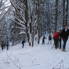 Bucaneve tourist route - Trail Nr. 4 | © APT Rovereto Vallagarina Monte Baldo