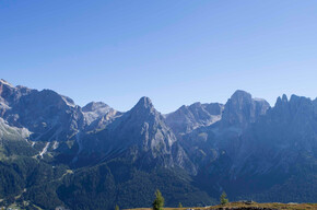 Tognola DH Due | © APT San Martino di Castrozza, Primiero e Vanoi