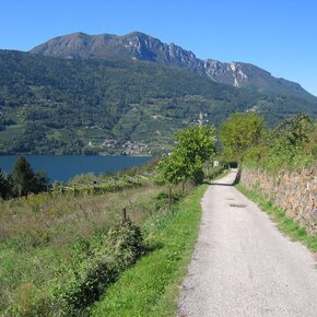 Passeggiata al colle di Tenna | © APT Valsugana e Lagorai