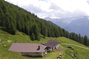 Malga Campo | © Unknown