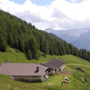 Malga Campo | © Unknown