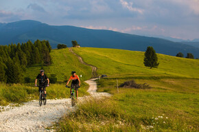 Quasi in cima | © Azienda per il Turismo Alpe Cimbra