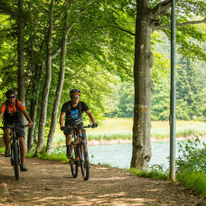 Lungo le sponde del lago | © Azienda per il Turismo Alpe Cimbra