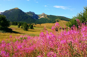 Piana delle Viote | © APT Trento 