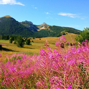 Piana delle Viote | © APT Trento 