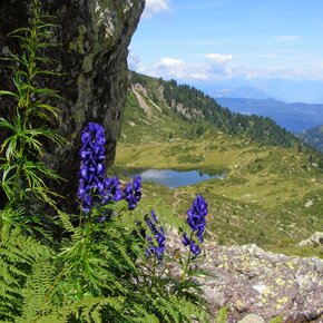 The Buse Lake from Ziolera Scharte | © APT Fiemme Cembra