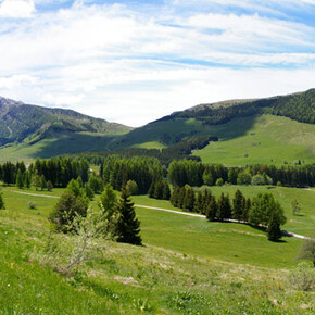 Verso la piana delle Viote | © APT Trento 