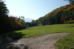 Passeggiata al Roplan | © APT Val di Non 