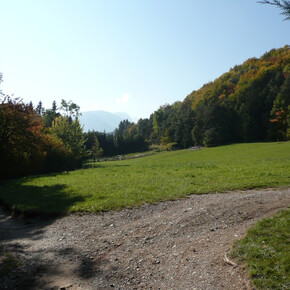 Passeggiata al Roplan | © APT Val di Non 