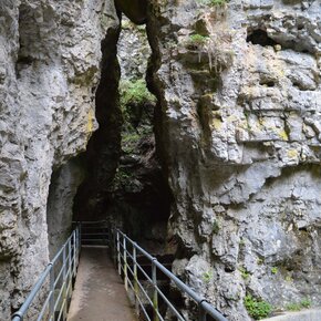 Wanderung zur Schlucht des Rio Sass | © APT Val di Non 