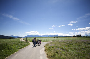 Passeggiata ai Pradiei | © APT Val di Non 