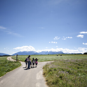 Passeggiata ai Pradiei | © APT Val di Non 