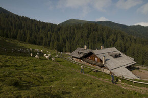 Malga Sass | © APT Val di Fiemme