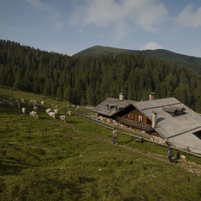 Malga Sass | © APT Val di Fiemme