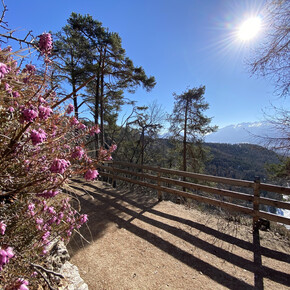 The Merlonga walk | © APT Val di Non 