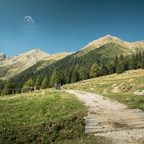 Ridge loop between Cima Cornicoletto, Belmonte and Vedetta Alta | © APT Val di Non 