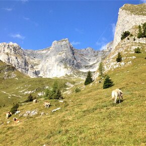 Val Gelada above Lake Tovel | © APT Val di Non 